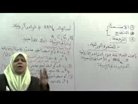 1 الترجمة الشفرة الوراثية - علوم الثالثة ثانوي