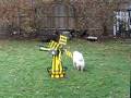 videos de DISCO GETS ALL THE DOGS TO CHASE HIM