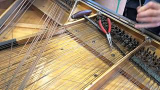 Students remove strings