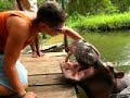 the-hippo-and-the-dog-playing-.html