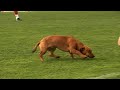 Dag 1 in Portugal: de terugkeer van Maarten Stekelenburg