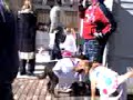 mardi gras dog parade