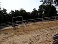 roundpen work at liberty