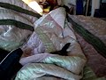 Funny Ferret in a blanket.. war dance