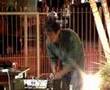 PETER FRANCIS - Caixa Ultrasonica -