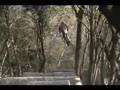 U-DUB BMX VIDEO
