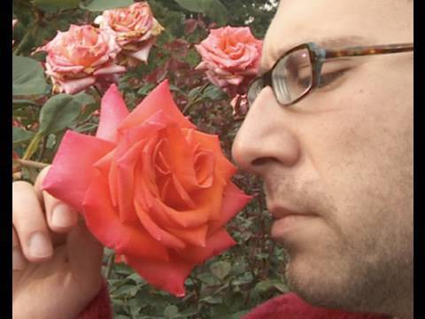 NEW funny valentines day video!