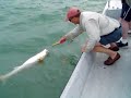 Texas Saltwater Fishing Big Red Fish