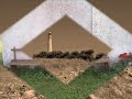 Mediterranea - Giuni Russo