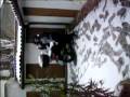 1'gennario cortile di casa