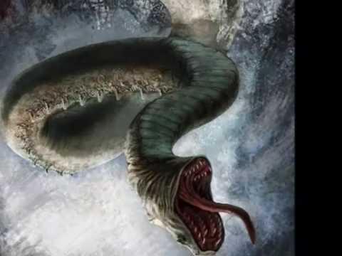 Imagen de previsualización de YouTube