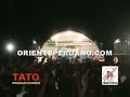 que pasó?  vivo    papillon de tarapoto