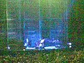 Biffy Clyro (teloneros concierto Muse)