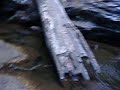 Wentworth Falls Wentworth Falls