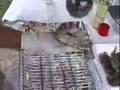 Softshell crabs on the grill