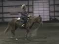 Carla Rehm Level 4 Nov. Vshow