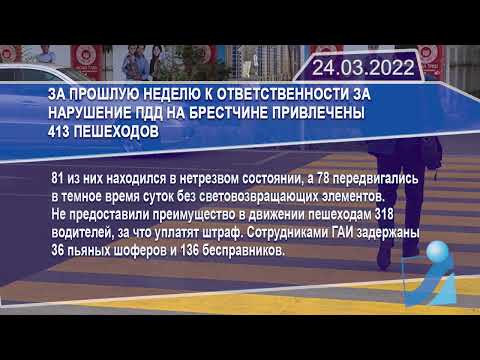 Новостная лента Телеканала Интекс 24.03.22.