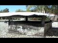 Dead Animal Removal Huntington Beach CA