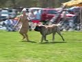 Lucah Bucks 2007
