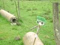 Violando a Escopa Parte 1 xD