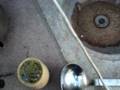videos de hacer un buen mate ARGENTINO