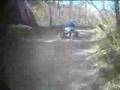 YFZ450-in-the-woods