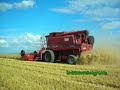 Moisson de l\