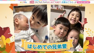 動画のサムネイル