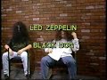 Headbanging Mania News:  1994
