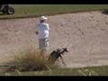 E-Dog's Massive Golf Bet - Part I