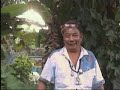 charcoal as fertilizer , siol conditioner