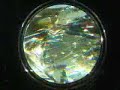 Crystal Visual - Buddha Spectrum