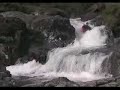 Kayaking Upper Esk Waterfalls- Rainchasers