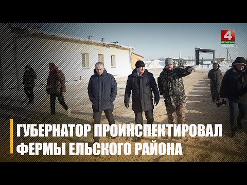 Крупко посмотрел, как зимует скот на фермах в Ельском районе видео