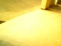 Click here to watch this video Cavalinho do Hermogenes