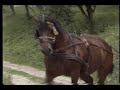 Bra?a Gelji? - Moj se doro uz brijeg penje