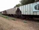 Tren ferromex Directo Sufragio-Guadalajara