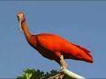 *Jericoacoara Delta do Parna�ba Len��is Rota das Emo��es
