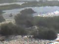 m-girls-nile-river-compiled-video.html