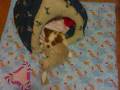 videos de maddy...i primi 2 mesi!.wmv