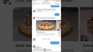 Review of Dominos Bot