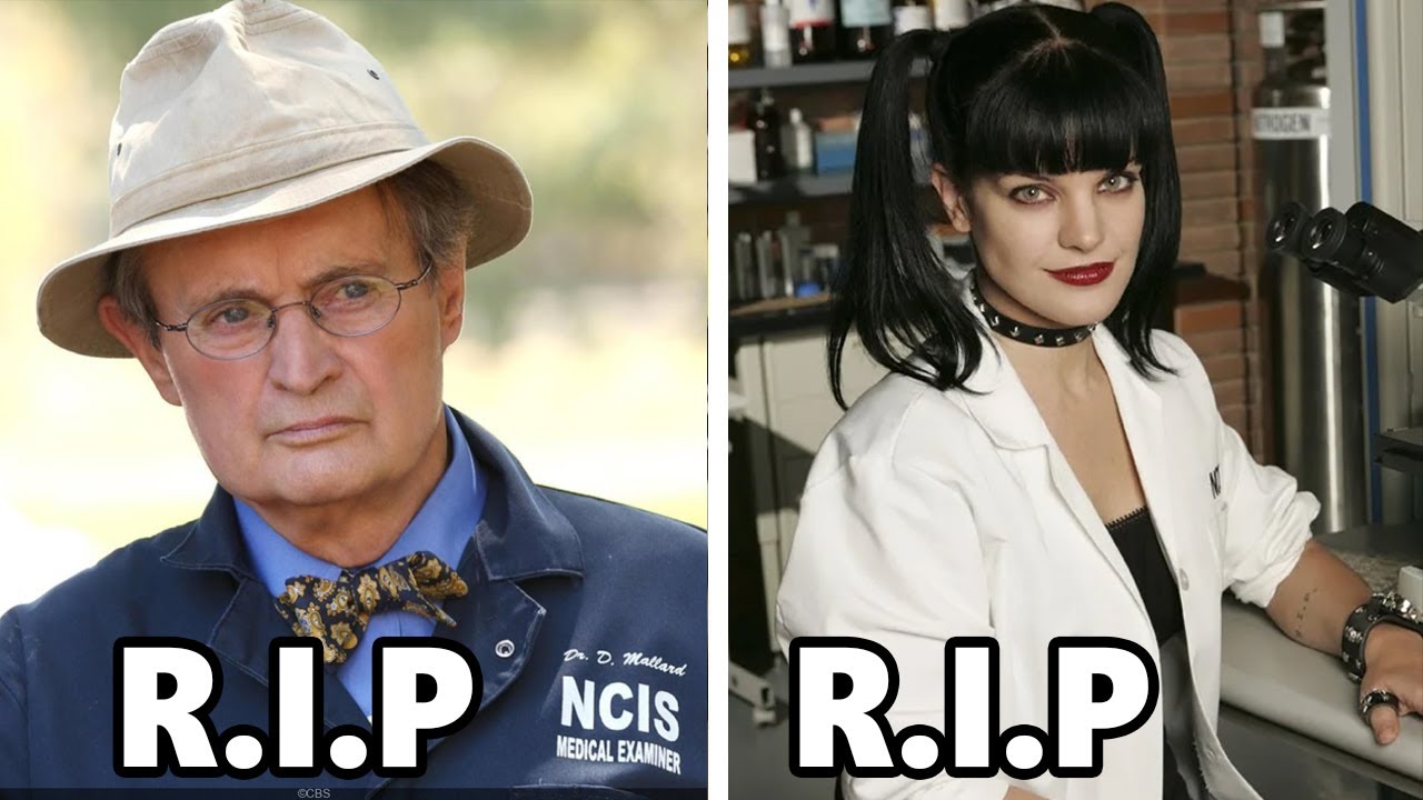 32 NCIS Actors Who Have Passed Away – Curious World
