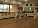 Kata / Bunkai