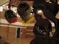 Shambhavi dance theatre - virtual tour