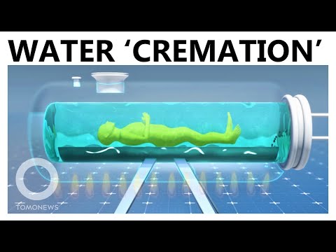 Aquamation (Water Cremation): The Eco-Friendly Burial Chosen by Desmond Tutu