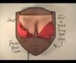 Watch Jingle Jugs the animatronic singing dancing boobs.