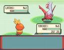 Pokemon-Ruta desconocida