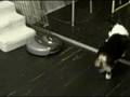 videos de Aug 27 2008 - VID00081