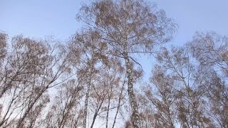 Общественный резонанс