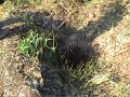 San Andriano - Castrill�n - Guerra Civil - Arama 36/37